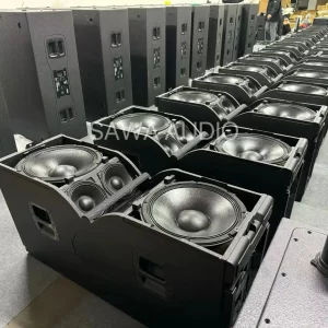 Line Array Speakers